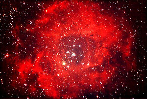Rose nebula: 'and the fire and the rose are one'