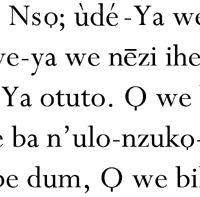 A gospel passage in Igbo