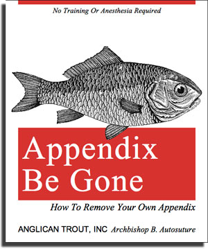 How to remove your own appendix (book cover)