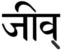 Jiv in Sanskrit